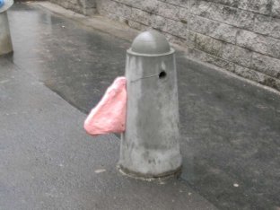 Lebenszeichen. Kinder der Volksschule Sperlgasse hauchten Bollern Leben ein.  